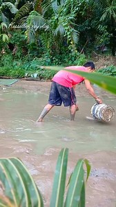 17K views · 115 reactions | 3months old parang breeder na | Kesselbon Rey Vlog | Facebook