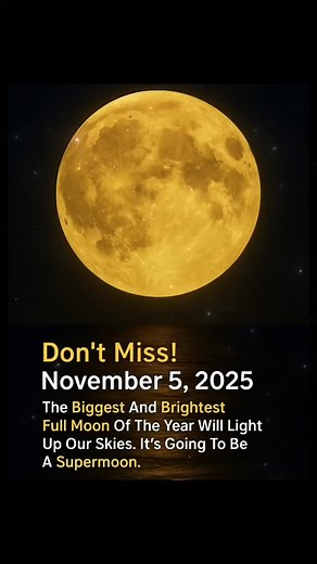 2.2K views · 46 reactions | Supermoon Alert: The Biggest and...