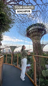 43K views · 211 reactions | Tour GRATIS en tu escala en Singapur !! Muchos viajeros que vamos al Sudeste Asiático agarramos Singapur como punto de partida ya que es a donde salen los mejores vuelos, así que si vas a tener escala por aquí y la quieres aprovechar al máximo aprovecha los tours gratis que ofrece el aeropuerto ✈️ . . #singapore #singapur #freetoursingapore | Roberta Con Maleta | Facebook