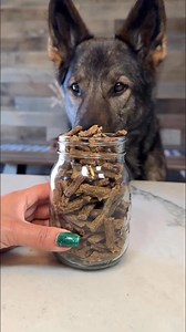 368K views · 8.5K reactions | Easy fish treats for dogs!  Recipe card @ the end #dogtreats #dogrecipe #dog #germanshepherd #healthytreats | Jade the Sable GSD | Facebook