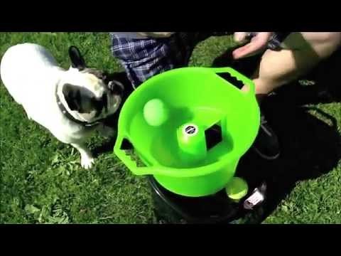 GoDogGo Fetch Machine Automatic Ball Thrower for Dogs