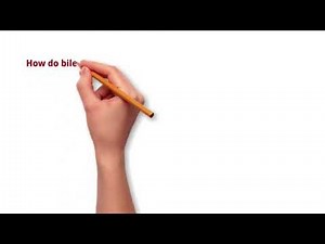 MacConkey agar & Sorbitol macConkey agar