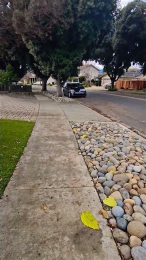 A Peaceful Walk in Pleasanton, California 🌴 #california #pov #trip