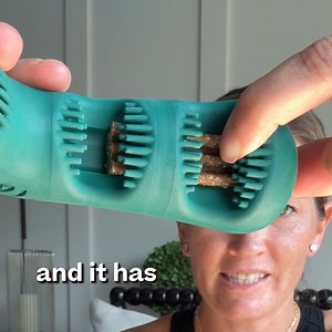 What if dogs could brush their own teeth?! 🦷🐶🎉 The Bite n' Brush makes toothbrushing fun for dogs & easy for their people. Try one today! ✅ Treats motivate chewing 🪥 ✅ Bristles scrub plaque & tartar 🦷 ✅ Natural ingredients for oral health 🌱 ✅ Cleans all sides of teeth & mouth ✨ | Life As Bluey