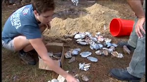 石料的加热和模拟打制Flint Knapping - Crystal River, Florida