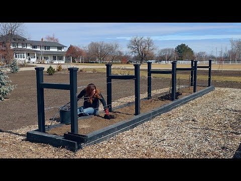 Planting Blackberries!!! 🙌😁🙌 // Garden Answer