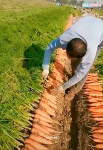 311K views · 2.3K reactions | machine & technology | ALL VIDEO | Facebook