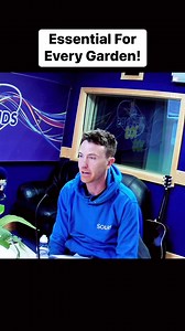 1.6K views | Comfrey is a secret super-plant that belongs in every garden, according to John Carey from Solas Eco Garden Centre in County Laois. Got any other tips?#garden #advice #comfrey #plants #radio #podcast #interview | Midlands 103 | Facebook