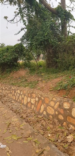 system two (@nicho.system)’s videos with original sound - Dj Gyaviira pro