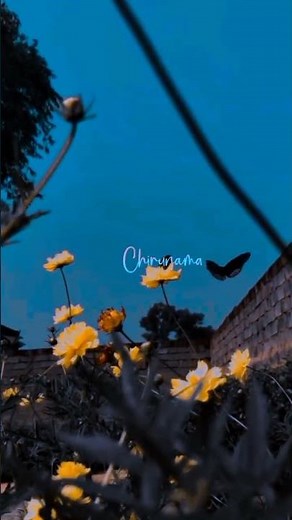 TELUGU Love Songs Are Going VIRAL Right Now?