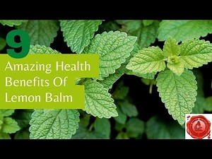 9 Amazing Health Benefits of Lemon Balm | Best Herb To Reduce Stress & Anxiety