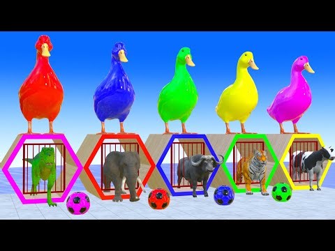 Long Slide Game With Cow Elephant Gorilla Hippopotamus Tiger - 3d Animal Game - Funny 3d Animals