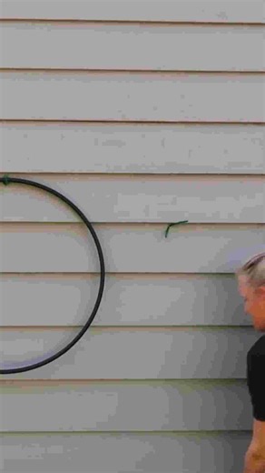 Hula hoop turned curb appeal?! #shorts