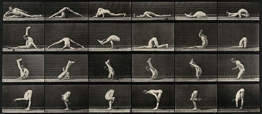 Download free image of An acrobat in various contortions. Collotype after Eadweard Muybridge, 1887. about eadweard muybridge, collotype dancing, muybridge, dog, and animal 13980130