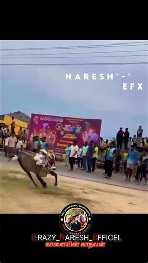 😍SUBSCRIBE TO ALL 😈 💥#jallikattu#reels#subscribe#bull#love#nareshvlog#shorts#viralvideo#eruthukattu