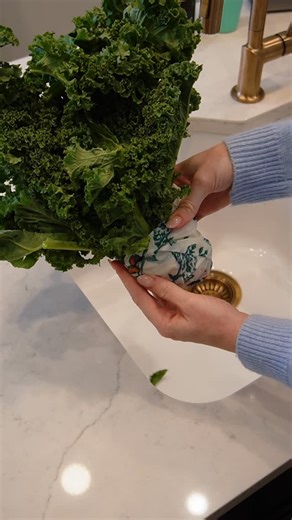 Bee’s Wrap® | Reusable Beeswax Wraps on Instagram: "Once I started doing this, my kale stayed fresh for so much longer! Just wet a paper towel, wrap the ends of your stalks, and then cover the paper towel with Bee’s Wrap to lock in the moisture! 🥬"