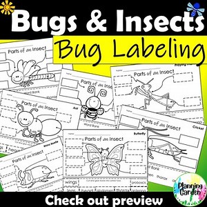 Bug Labeling | Parts of a Bug, Insect, Butterfly {spring, label, bug, insect}