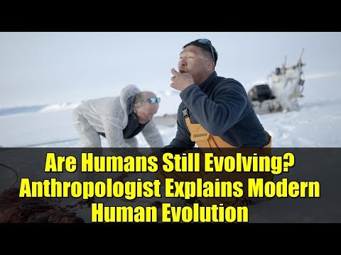 Are Humans Still Evolving? Anthropologist Explains Modern Human Evolution
