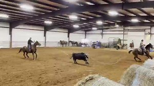 21K views · 941 reactions | #dreamteamroping 2021 NFR practice! Stretch Roping Dummies Classic Rope Quality Team Roping Horses Official NFR Experience #juniorhowmany #xstopstheclock #ezdragsit | Buddy Hawkins | Facebook