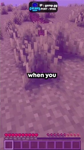 This Minecraft server will make you other servers quit #minecraft #smp #lifestealsmp