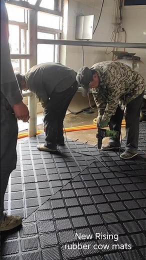 how to install rubber cow mats?