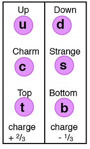Quarks and leptons notes and video - The Fizzics Organization