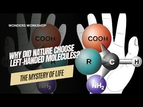 The Mystery of Life: Why Did Nature Choose Left-Handed Molecules?