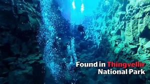 165K views · 4.3K reactions | In Iceland you can swim between two continents | The Independent | Facebook