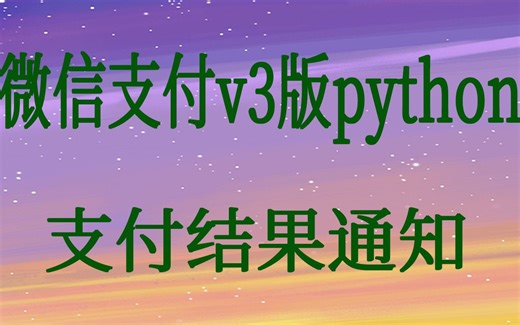 python 支付视频课程