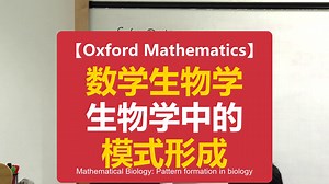 【Oxford Mathematics】数学生物学：生物学中的模式形成 | Mathematical Biology: Pattern formation in