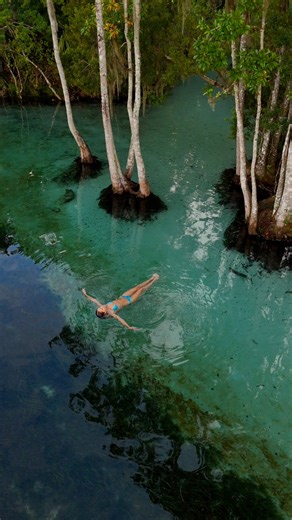215K views · 3K reactions | Ethereal twilight forest swim冀﫧✨ #relaxing #twilight #forest #swimming #ForestBathing #nature #wanderlust #vacation #explore #earth #outdoors #naturephotography #travelwithme #AdventureAwaits #clearwater #florida #floridasprings | Lakewet | Facebook