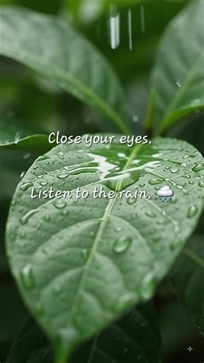 THE SOUND OF RAIN ON LEAVES #CalmScape #asmr #RainSounds #SleepSounds #whitenoise