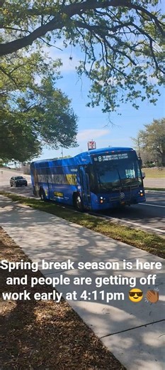 2015 Gillig Brt diesel on route 8 Bus #178 (Spare bus)