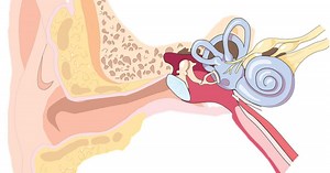 Fundación Nacional para Sordos y los niños con sordera