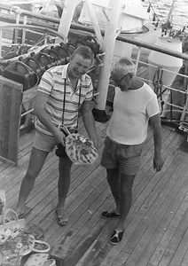 Kolmogorov–Zurbenko filter - Alchetron, the free social encyclopedia