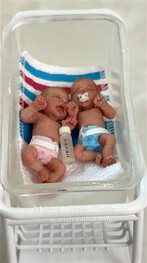 TINY TWINS!! Gretal and Hansel Miniature Reborn Dolls #rebornbaby #minibaby