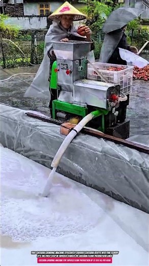 Cassava Grinding Machine for Tapioca Flour Production up to 300 kg per Hour