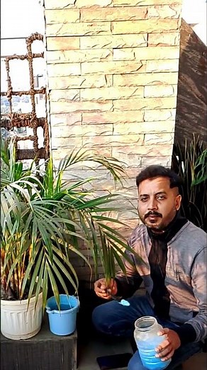 👉 How to Use NPK For Plants?