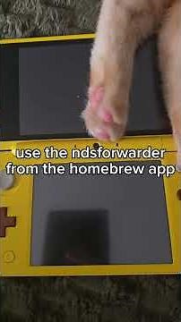 tutorial on how to install ds games without removing your sd card via redshop featuring my cat 🫶