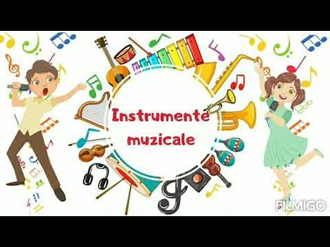 Instrumente muzicale 🎷🎸🎻🥁|prezentare generală