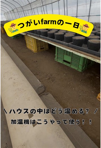 その他リール動画は→@tsugaifarm 今日は加温機を使ってどうハウスを温めていくのか紹介します👍#北海道 #除雪 #大雪 #農業 #トマト #苗 #土 #ビニールハウス #育苗 Voiced by https://CoeFont.cloud