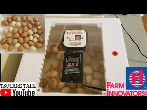 HOW TO DO A FARM INNOVATORS 4250 LOCK DOWN. BEST INCUBATOR. WHY LOCK DOWN IS IMPORTANT. Tips Tricks