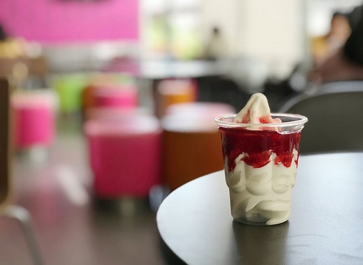 8 Chains That Serve the Best Soft-Serve Ice Cream