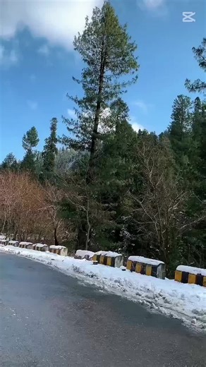 #CoMManDo #BosS #22sarkarfam @🚨🚓_LaDla_sAhaB_89_🚓🚨 @abbas khan😀😀.22 @feroz khan @khanbatagrmi333 @SAHIL dada 22