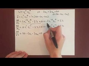 Optimal Choice Cobb-Douglass Example