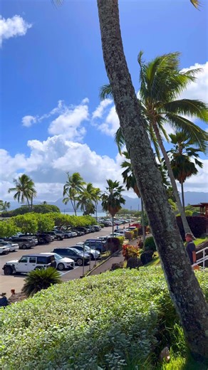 Beautiful view from the Kualoa Ranch | Hawaii Deluxe Travel