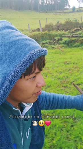 MIS INOCENTES CRIATURAS❤️🥹🐮 ellos tanbien tienen un corazoncito verdad?🥹❤️ @Virgen de El Quinche @ayuda no se q me ise @Contando días para Navidad🎅 @leon50 @Jesús @Cholojuanito&richardouglas @cholojuanitoorigonal @Constr.🏡 casas de campo 🏡🌲 #cayambe_ecuador🇪🇨 #paratiiiiiiiiiiiiiiiiiiiiiiiiiiiiiii #ayudasocial #pobreza #apoyame