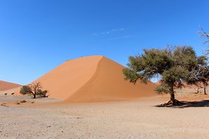 Namib Naukluft Park - Namibia Reisen & Informationsportal