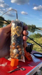 Viral Carp Fishing Tricks and Techniques