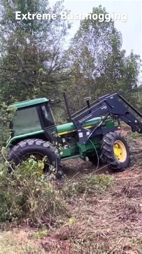 Extreme Bushhogging! #bushhog #agriculture #tractor #farming #bushhogging #johndeere #farmlife